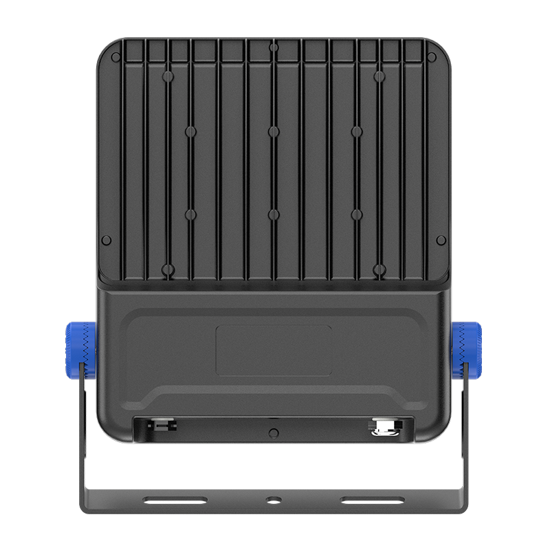 PY-FL05-100W Diluvium Dura
