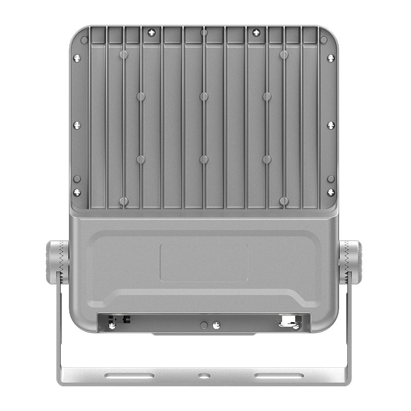 PY-FL02-100W Maximum Energy DUXERIT Diluvium lux