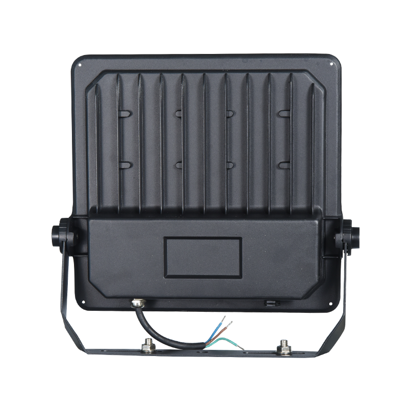 PY-BG01-100W High Quality Environmentally Friendly Diluvium Lux