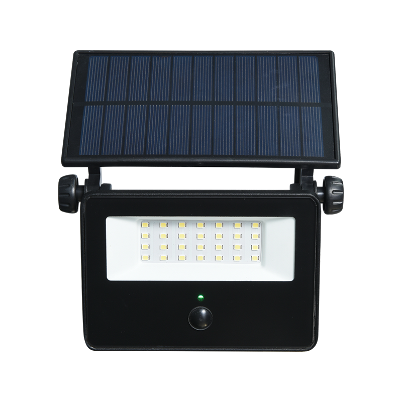 PY-SLFL10 Environmentally Friendly Solaris Diluvium lux