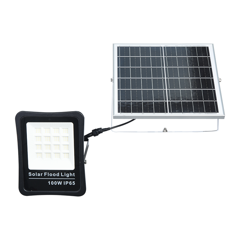 PY-SLFL30-100W Minimum Energy Outdoor Solaris Diluvium lux