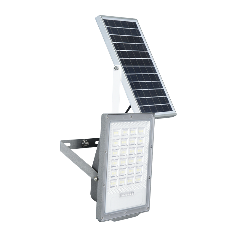 PY-SLFL50-100W Securus install Diluvium Solis