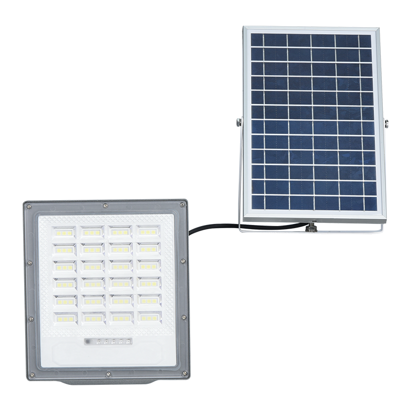 PY-SLFL50-100W Securus install Diluvium Solis