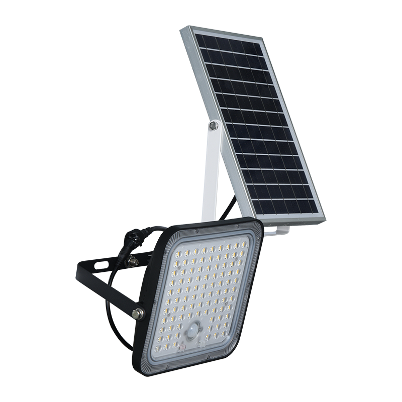 PY-SLFL60 Lithium-Ion Battery Solaris Diluvium