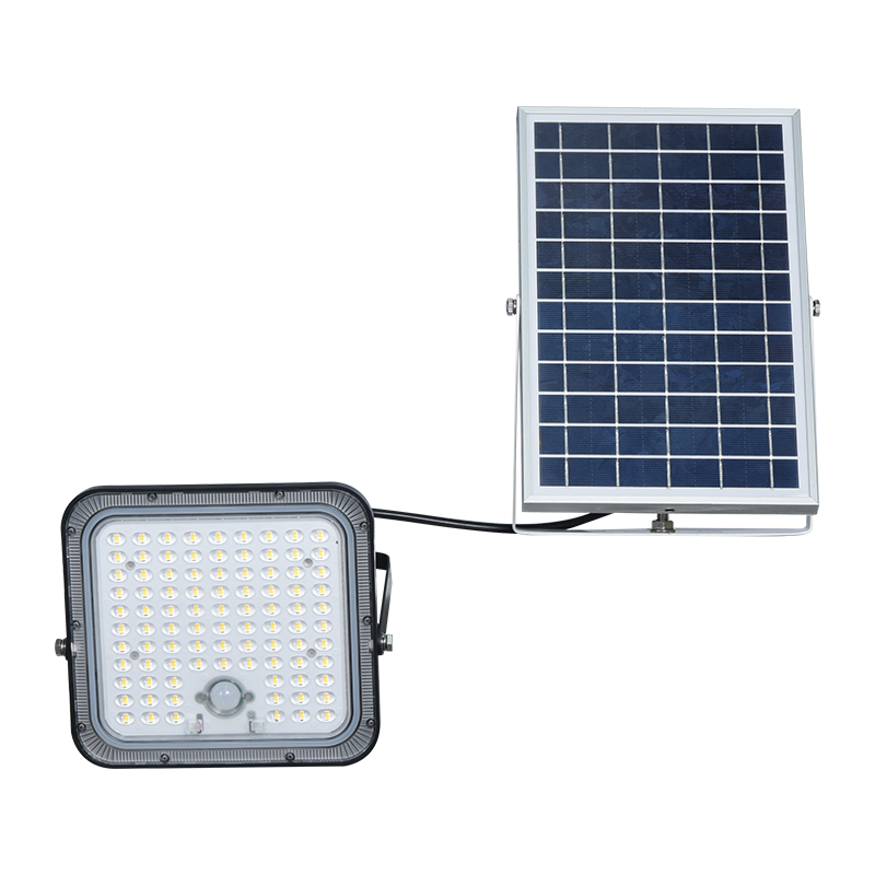 PY-SLFL60 Lithium-Ion Battery Solaris Diluvium